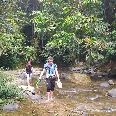 Pongo Guest House & Jungle Trekking บูกิตลาวัง ภายนอก รูปภาพ