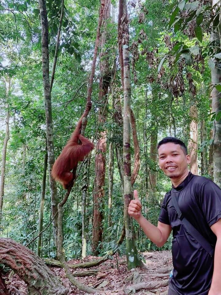 Pongo Guest House & Jungle Trekking บูกิตลาวัง ภายนอก รูปภาพ