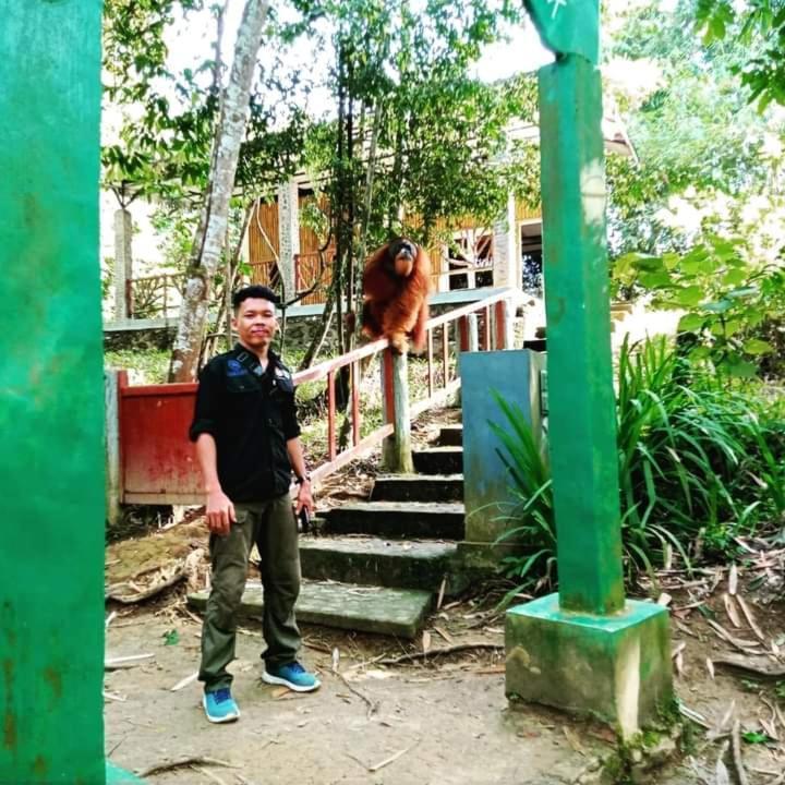 Pongo Guest House & Jungle Trekking บูกิตลาวัง ภายนอก รูปภาพ