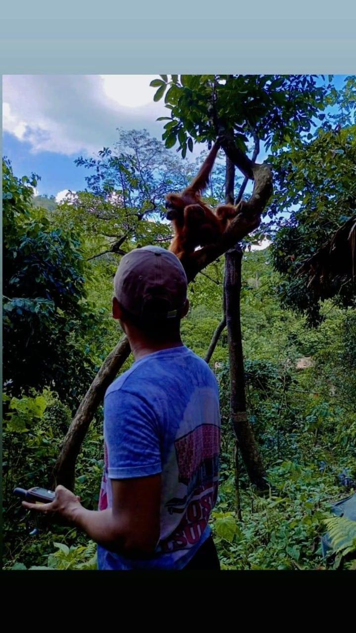 Pongo Guest House & Jungle Trekking บูกิตลาวัง ภายนอก รูปภาพ