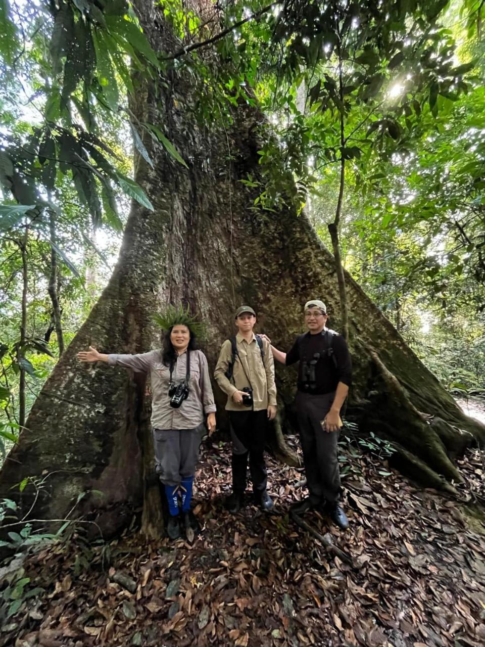 Pongo Guest House & Jungle Trekking บูกิตลาวัง ภายนอก รูปภาพ