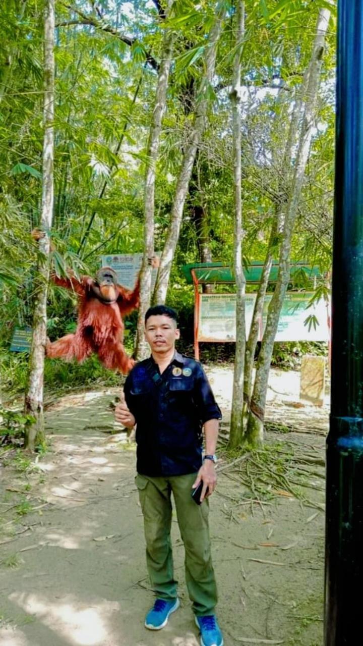 Pongo Guest House & Jungle Trekking บูกิตลาวัง ภายนอก รูปภาพ