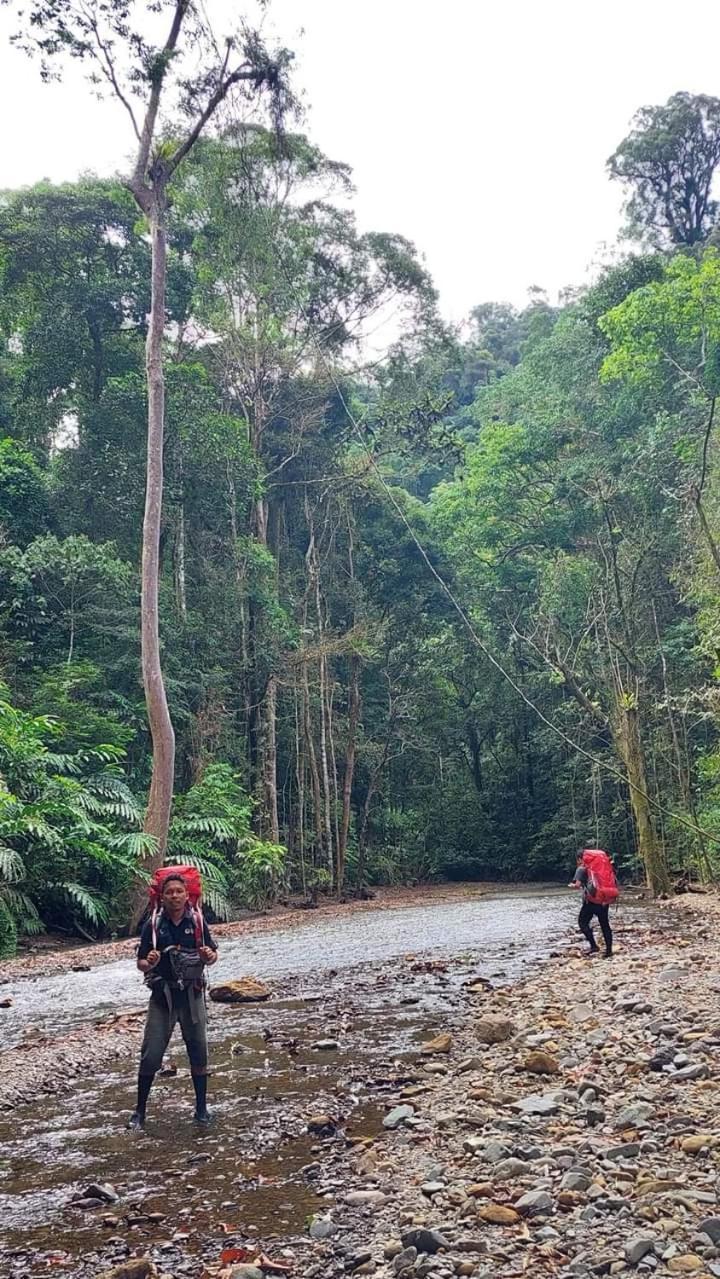 Pongo Guest House & Jungle Trekking บูกิตลาวัง ภายนอก รูปภาพ