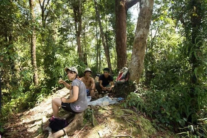 Pongo Guest House & Jungle Trekking บูกิตลาวัง ภายนอก รูปภาพ
