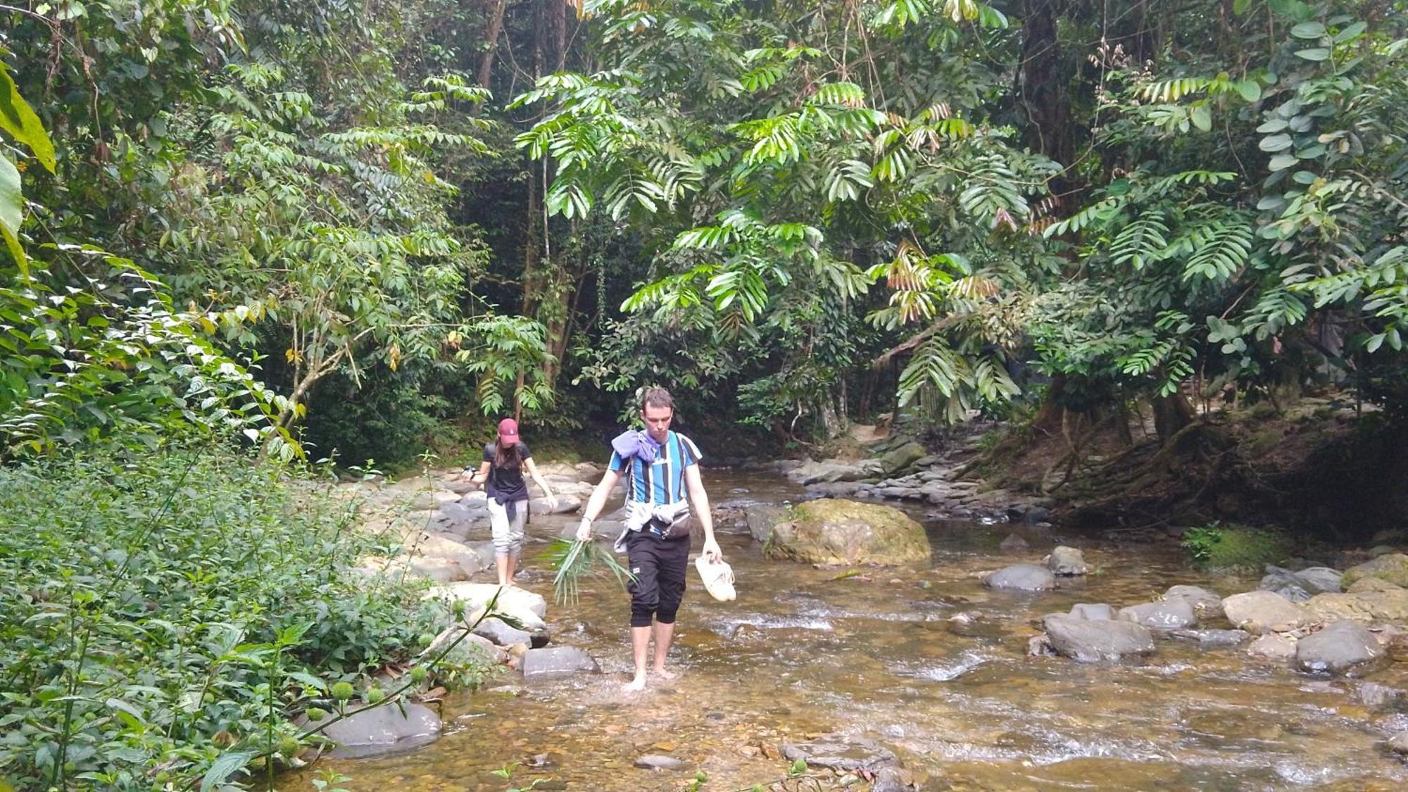 Pongo Guest House & Jungle Trekking บูกิตลาวัง ภายนอก รูปภาพ