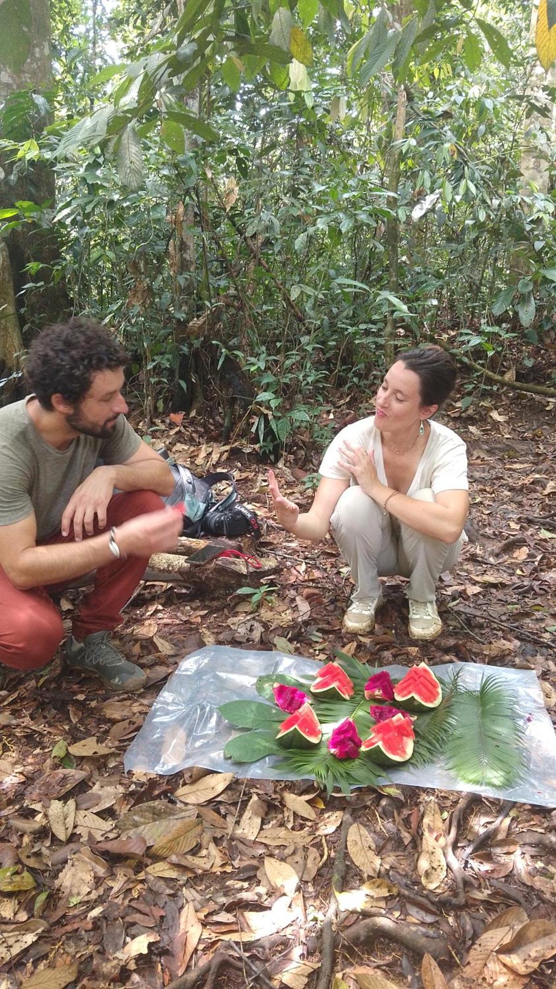 Pongo Guest House & Jungle Trekking บูกิตลาวัง ภายนอก รูปภาพ